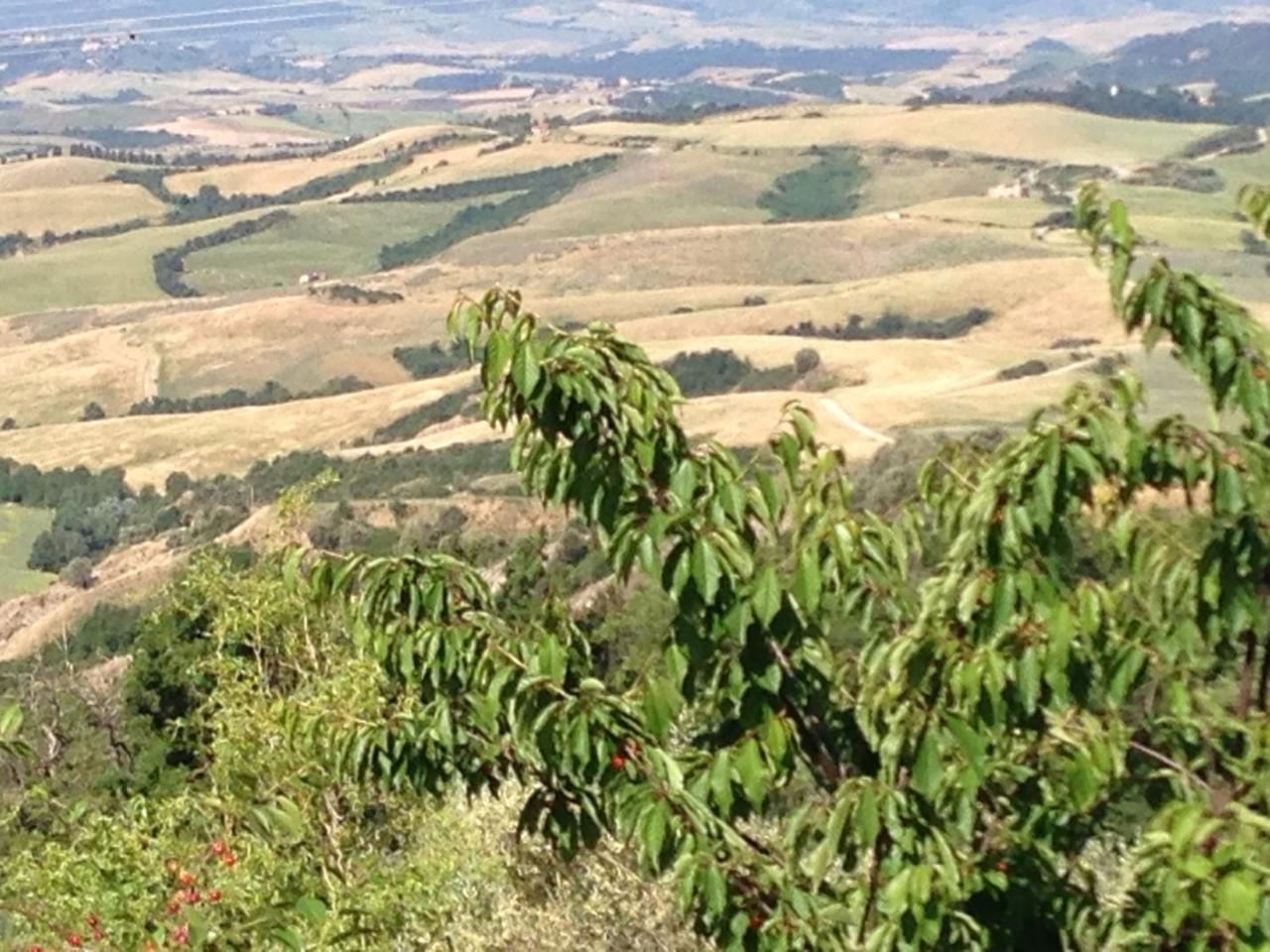 Podere Le Monache Montaione Esterno foto