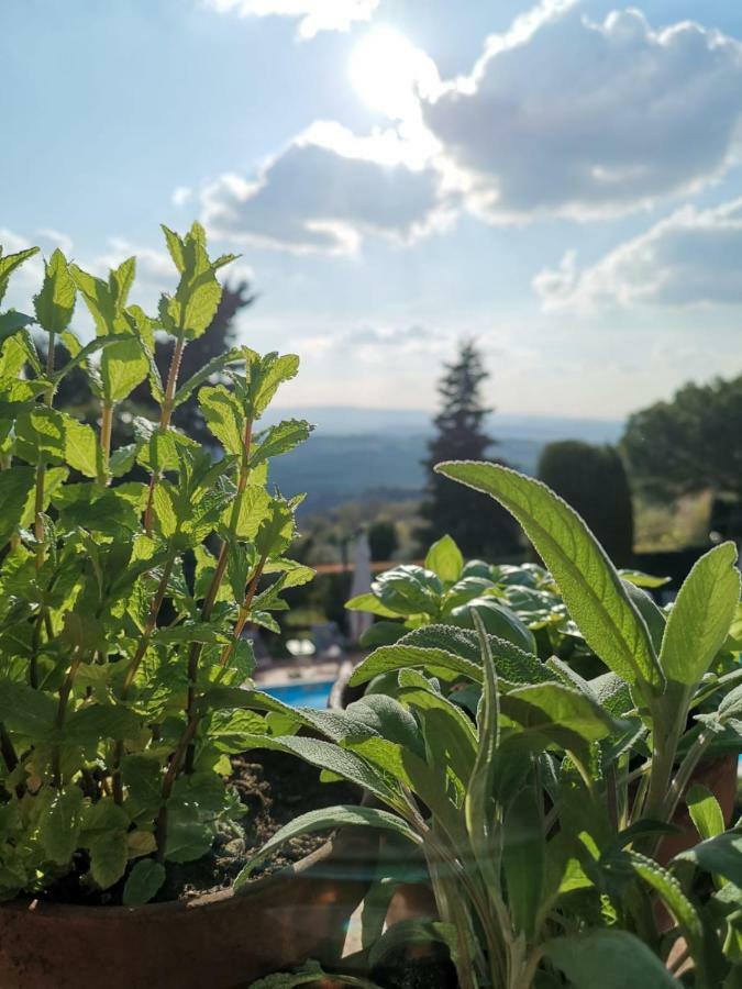 Podere Le Monache Montaione Esterno foto